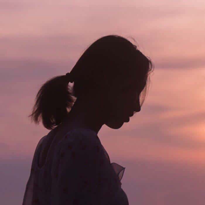 Vibe13的头像-菠菜星球